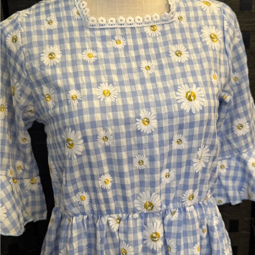 Blue & White Vintage Gingham Midi Dress with Daisy Print - Picture 3 of 8